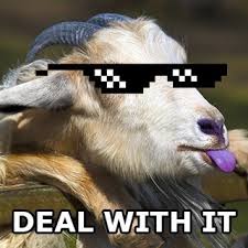 deal with goat